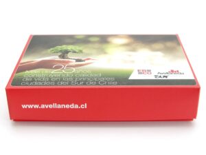Caja entrega casas Avellaneda cajas-94-2