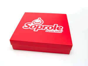 Caja desayuno Soprole cajas-93-3