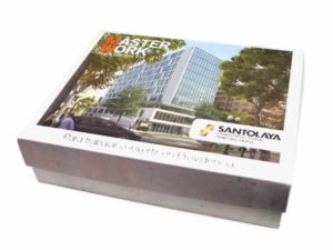 Caja entrega proyecto Master Work Santolaya cajas-78-1