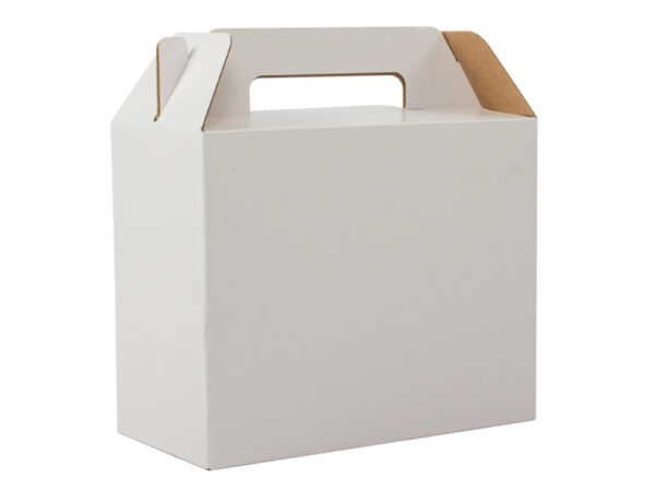 Caja maleta autoarmable 25x20x12 cm pkp-28-3