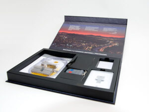 Caja entrega proyecto Gespania cajas-111-4