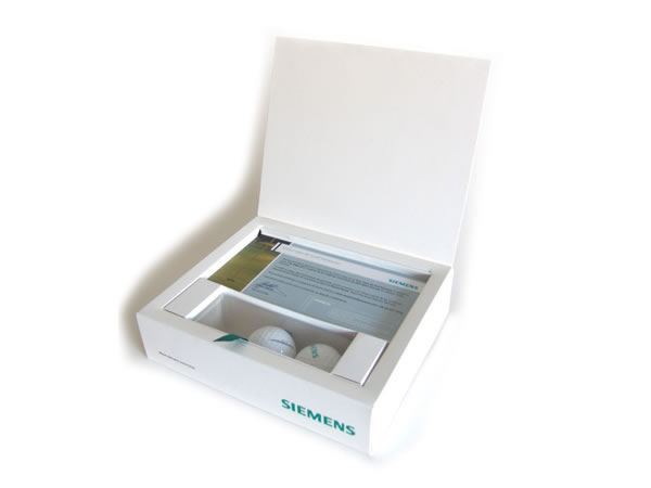 Caja Siemens cajas-65-1
