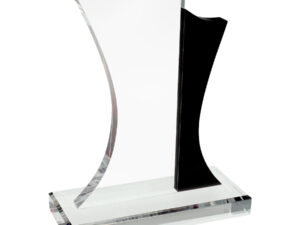 Trofeo bauhaus 15 A63trofeonegro 10