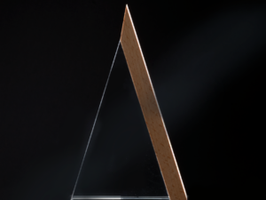 Trofeo Galvano de Madera y Cristal Triangle 11 A64 0000 8 2