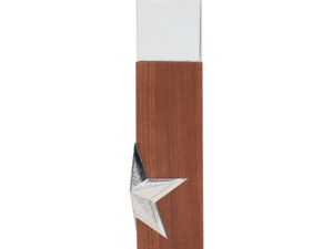 Trofeo de madera y cristal 5 A72 00 1 3