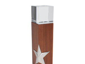 Trofeo de madera y cristal