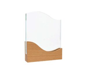 Trofeo Galvano de Madera y Cristal Trofeo Galvano de Madera y Cristal