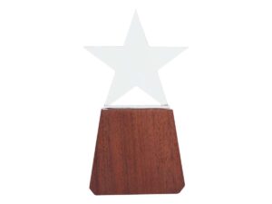 Trofeo de Madera y Cristal Lonely Star