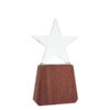 Trofeo de lonely star 10 A78 11 Principal 1