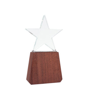 Trofeo de lonely star personalizable