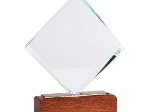 Trofeo galvano de madera y cristal 7 A83 11 2