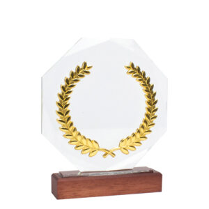 Trofeo galvano de madera, cristal y acero personalizable