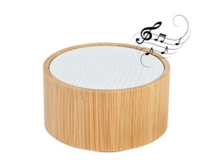 Parlante Altavoz Bluetooth de Bamboo