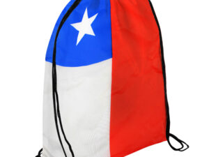 Mochila flag 7 D58CHILE 3