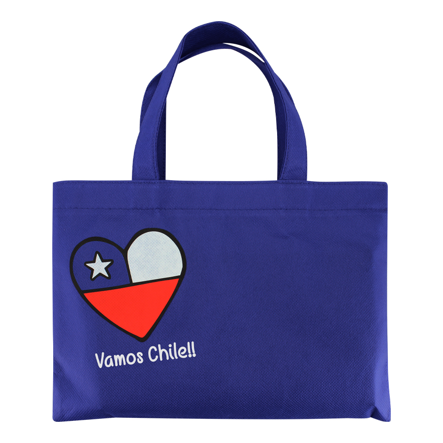 Bolsa tnt vamos chile 1 Bolsa tnt vamos chile