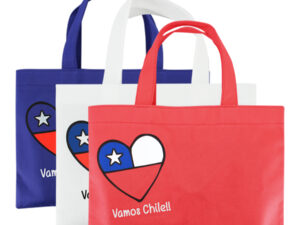 Bolsa tnt vamos chile 9 E32 principal 1