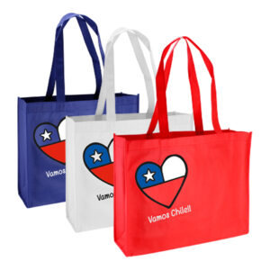 Bolsa ecológica mundial congreso personalizable