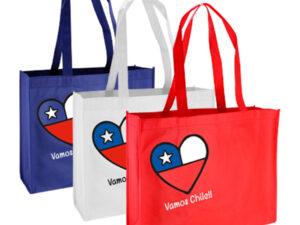Bolsa tnt vamos chile 9 E36 principal
