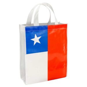 Bolsa ecológica ecólogica chilena personalizable