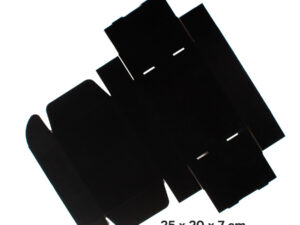 Caja autoarmable 25x20x7 cm 13 F22 01