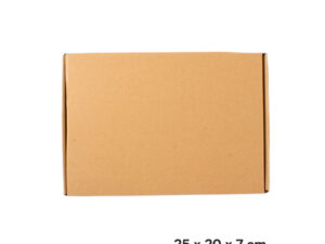 Caja autoarmable 25x20x7 cm 15 F22 06