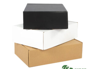 Caja autoarmable 25x20x7 cm 17 F22 SOP
