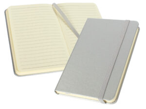 Cuaderno colorskine 11 N46 plateado