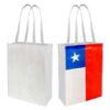 Bolsa bandera chilena