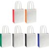 Bolsa bicolor Moon