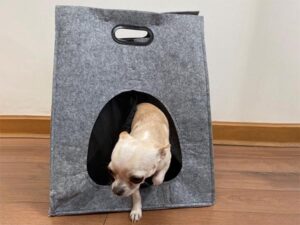 Bolso de fieltro porta mascota_mvp_45_logotipo_personalizado_12