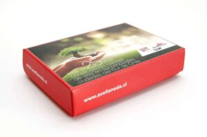 Caja kit bienvenida 16 x 12 x 3 cms personalizable