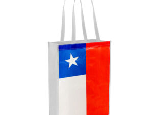 Bolsa tnt bandera chilena mediana 5 e55 01