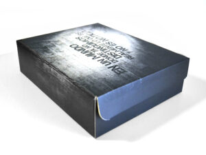 Caja campaña de medios La Red_cajas_46_logotipo_personalizado_02