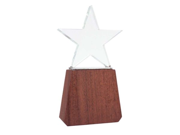 Trofeo de Madera y Cristal Lonely Star